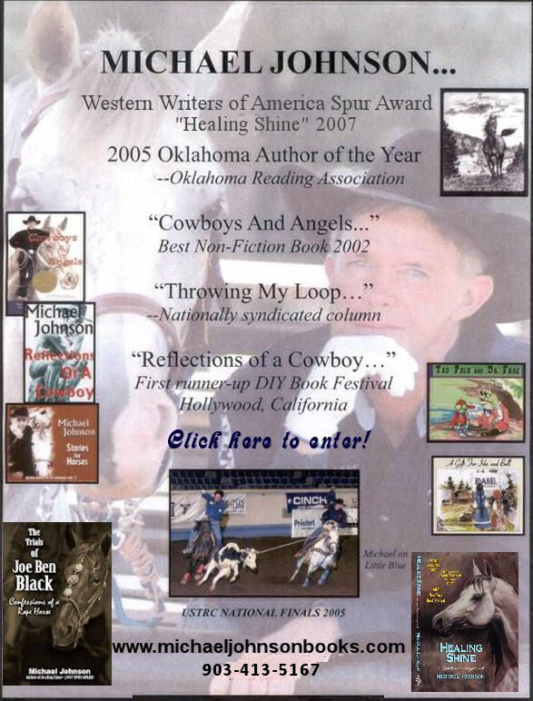 Click to Enter Michael Johnson Books!